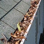 A picture containing ground, outdoor

Description automatically generated